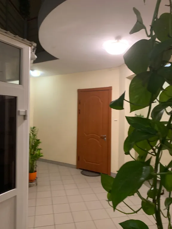 Квартира Уютная квартира в ста шагах от таврического сада — Санкт-Петербург