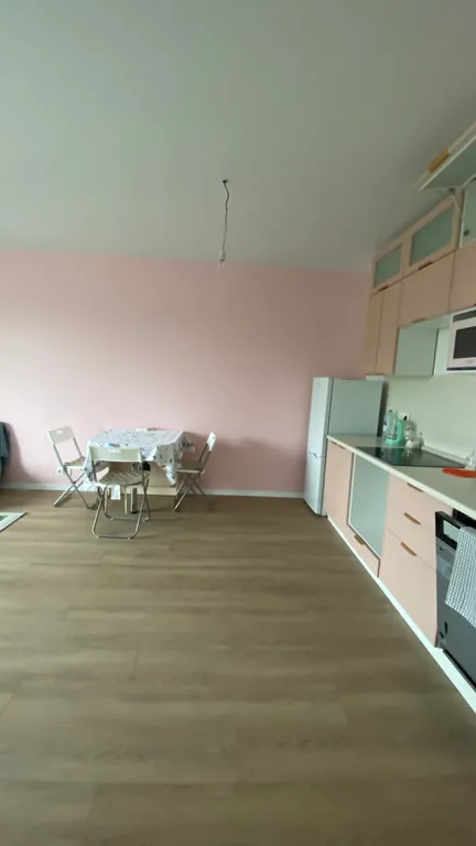 Квартира 2-комнатная Квартира — Янино-1