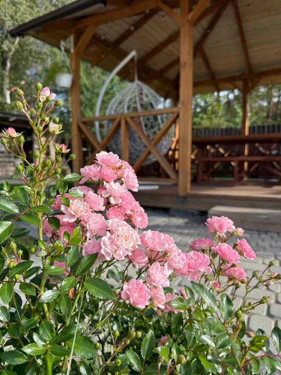 Уютная дача у леса