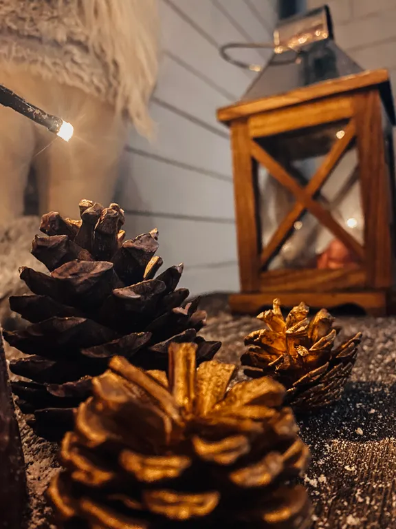 Дом на воде