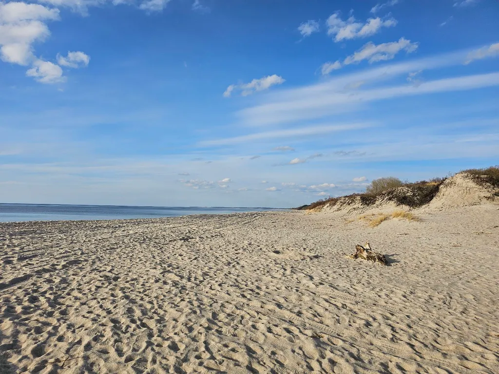 Балтийская квартира