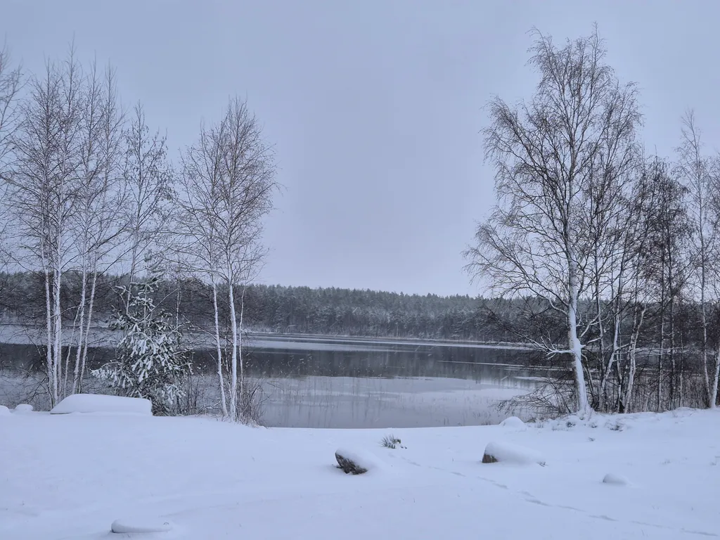Коттедж Уютнейший дом с роскошным видом на озеро — Ларионово