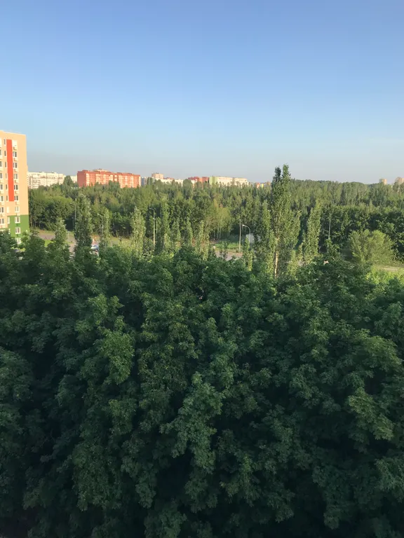 Квартира-студия с панорамным балконом