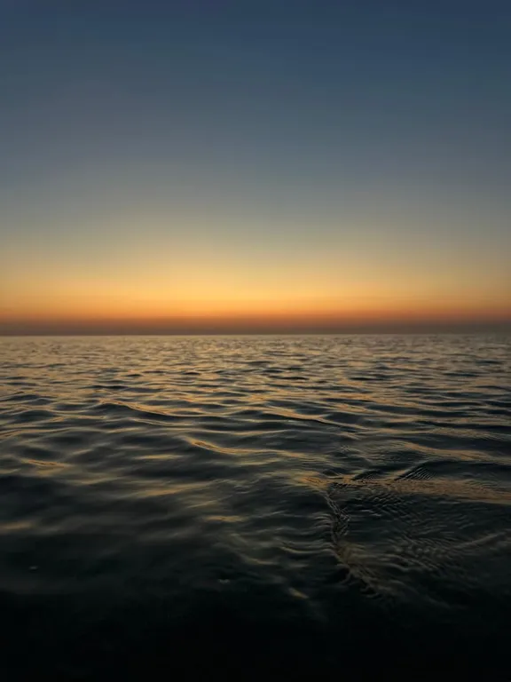 Квартира Комната — аренда посуточно в Должанская