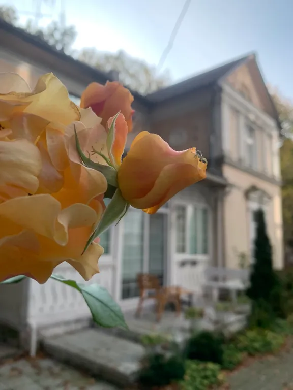 Уютная студия в центре Светлогорска