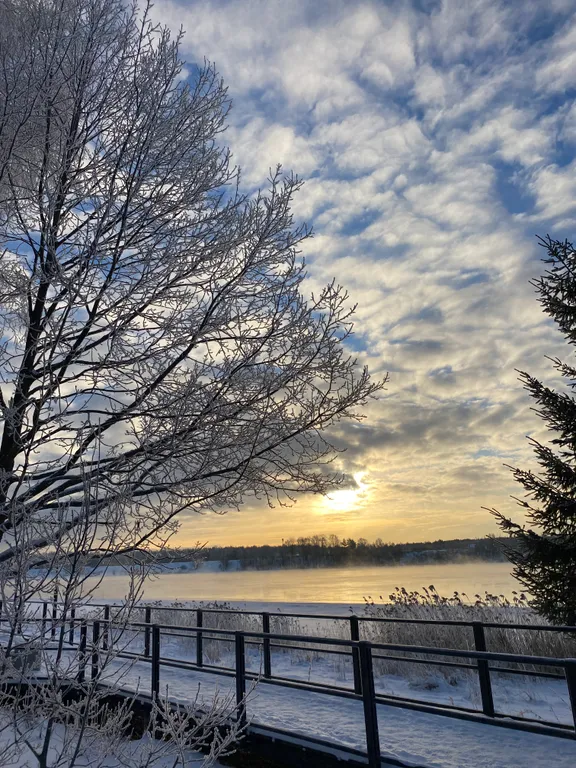 Коттедж на Неве