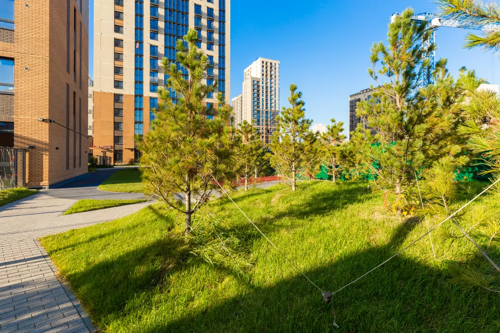 Уютная квартира в историческом центре города