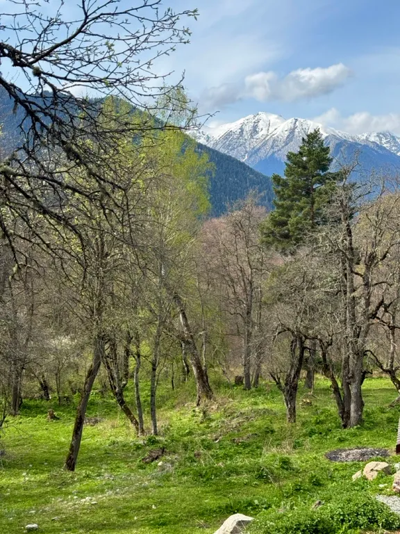 Квартира Комната — Архыз