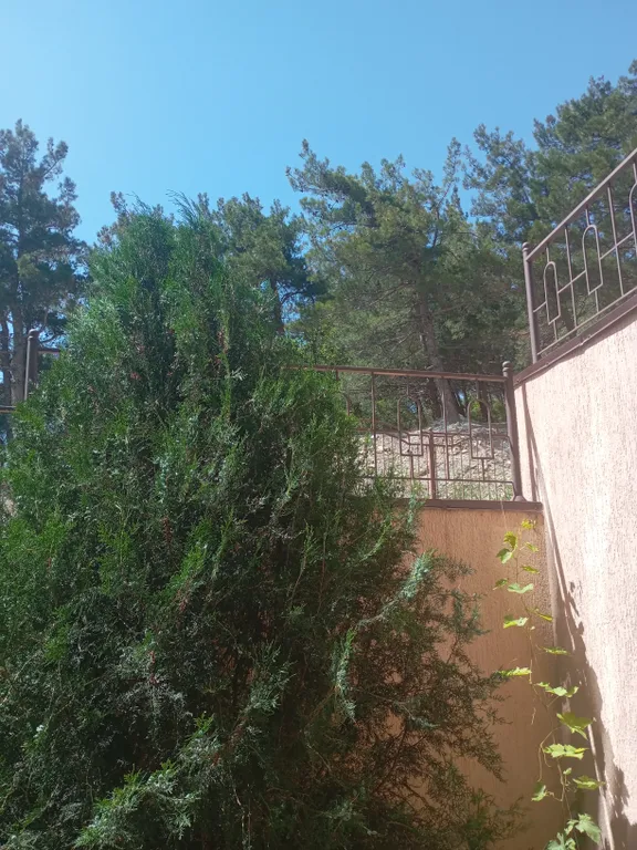 Апартаменты с видом на море