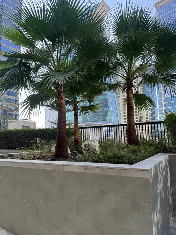 Баунти Райское Наслаждение