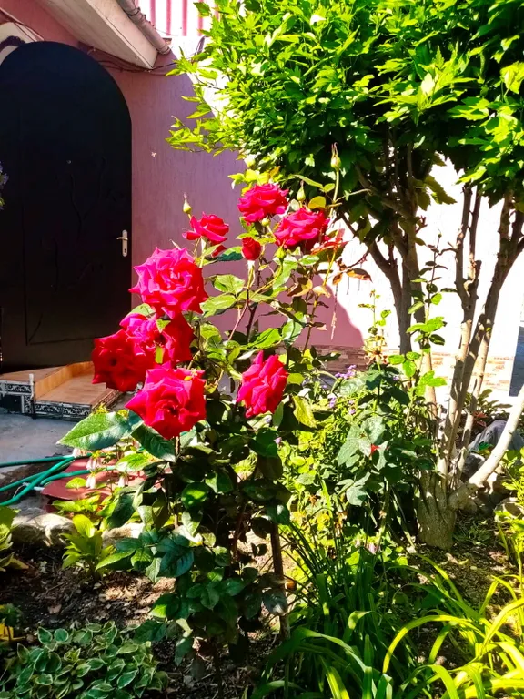 Коттедж 3-х комнатный дом в центре — Феодосия