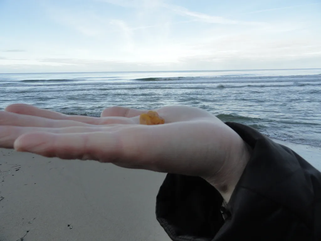 Квартира у парка — аренда посуточно в Зеленоградск