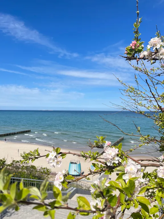 Квартира у моря