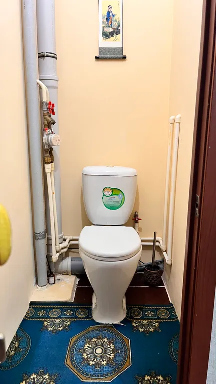 Квартира Уютная, комфортная теплая квартира — Красноярск