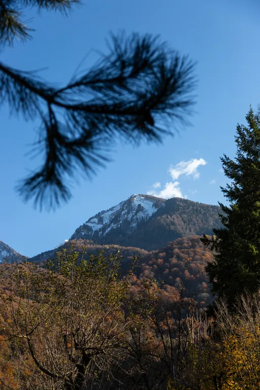 Шале в Красной Поляне
