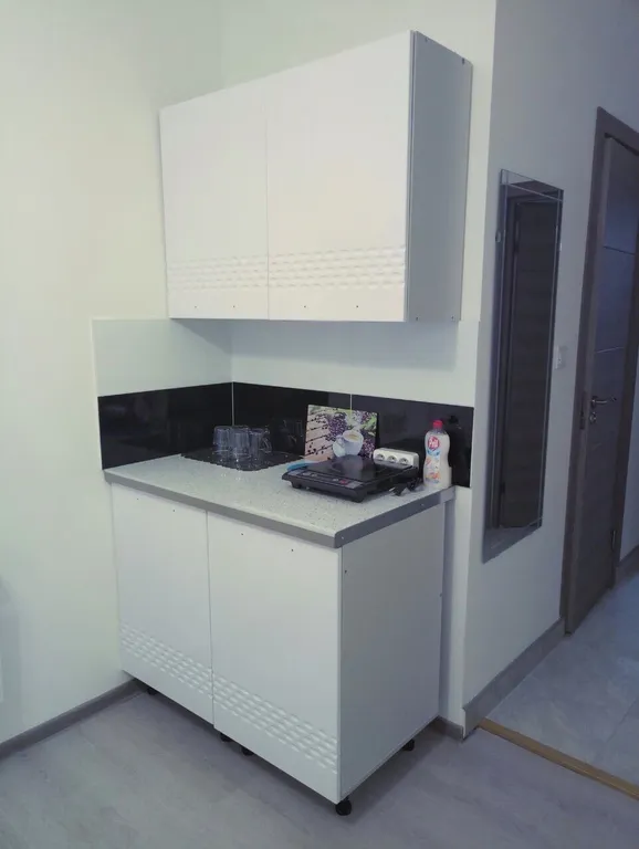 Квартира Комната с кухонным уголком и санузлом с душем — Санкт-Петербург