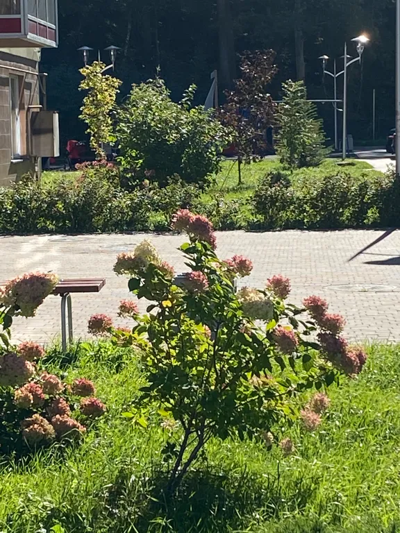 Оливия апартаменты в лесу возле озера