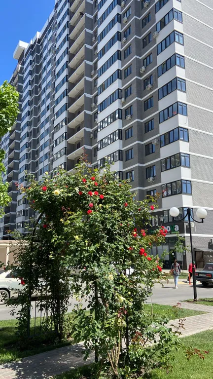 Уютная студия