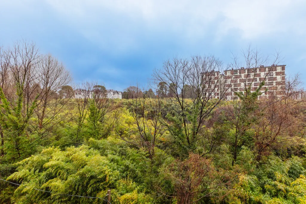 Квартира Квартира RH aquamarine apart у моря — Адлер