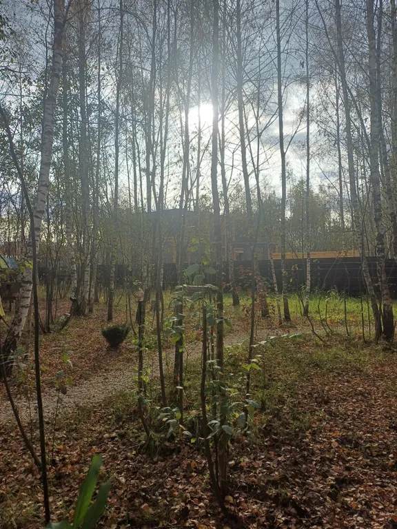 Коттедж Дом (С) с сауной и видом на лес — Воскресенское