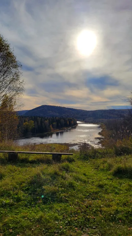 Лесная Гавань