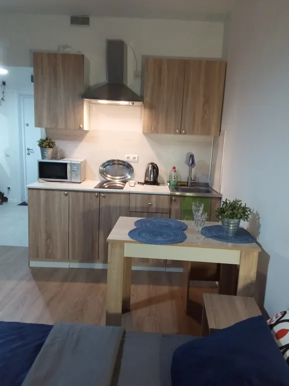 Квартира-студия Милая в 5 минутах от Онкологического центра