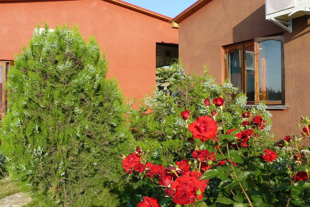 Уютный коттедж с бассейном с морской водой