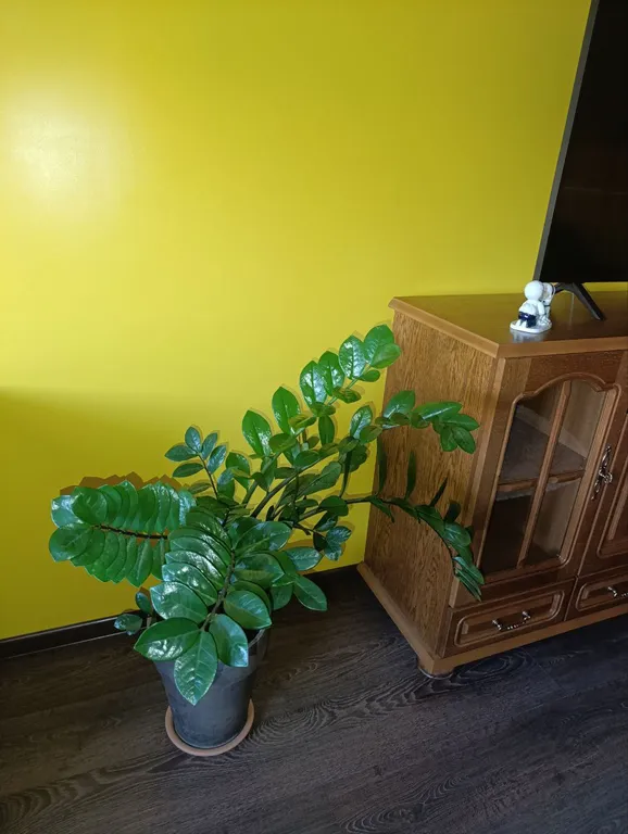 Просторная квартира в центре города с видом на ТЦ Old City