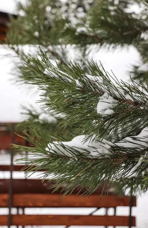 Коттедж Гостевой Дом Банный Комплекс — Казань