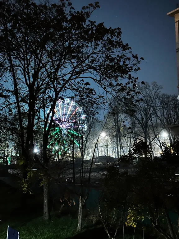 Уютная чистая студия в парке