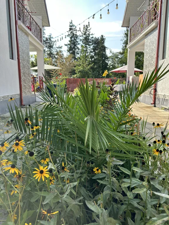 Апартаменты Apollo на море у пляжа с лечебным магнитным песком