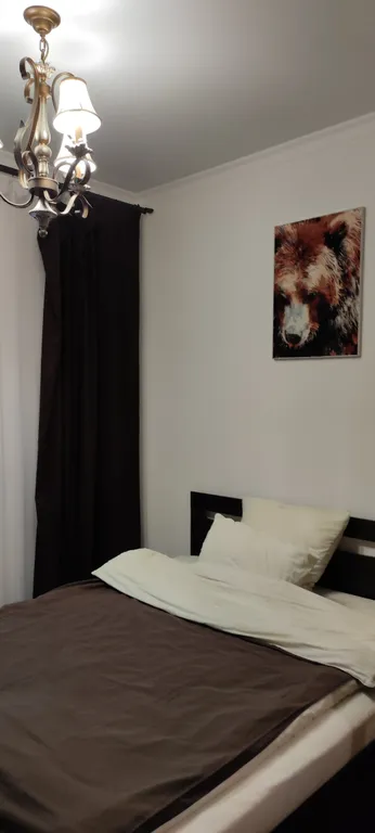 Уютные просторные апартаменты в центре города