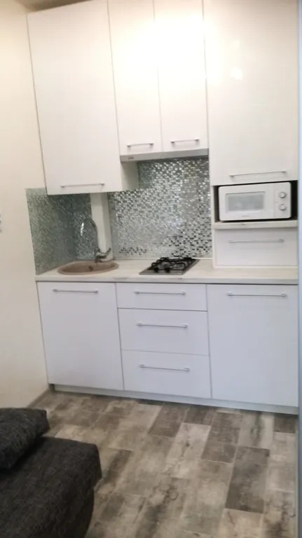 Студия в Сосновом бору