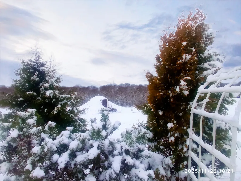 Апартаменты с камином