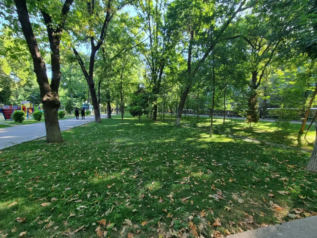 Center of Tashkent near Cosmonauts metro station, Premium Location