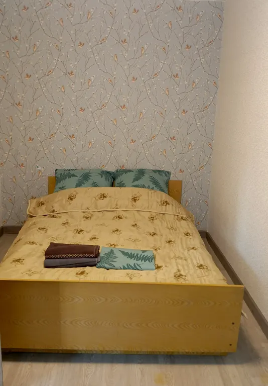 Уютная двухкомнатная квартира в Кузнецком районе — аренда посуточно в Новокузнецк