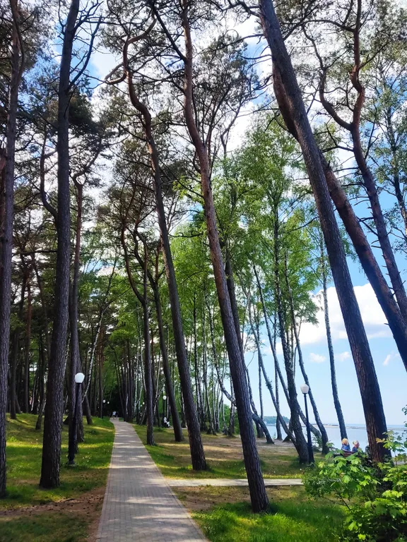 Уютные апартаменты на Балтийском море