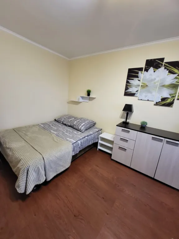 Уютная однокомнатная квартира