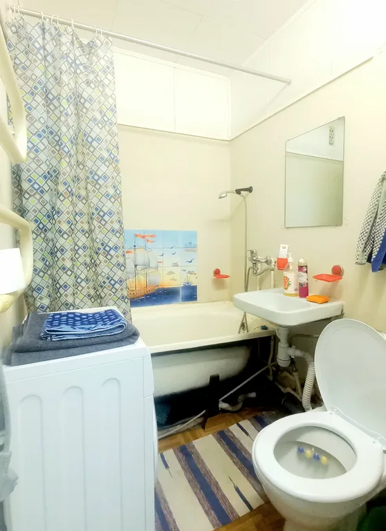 Квартира у парка Берендеевка