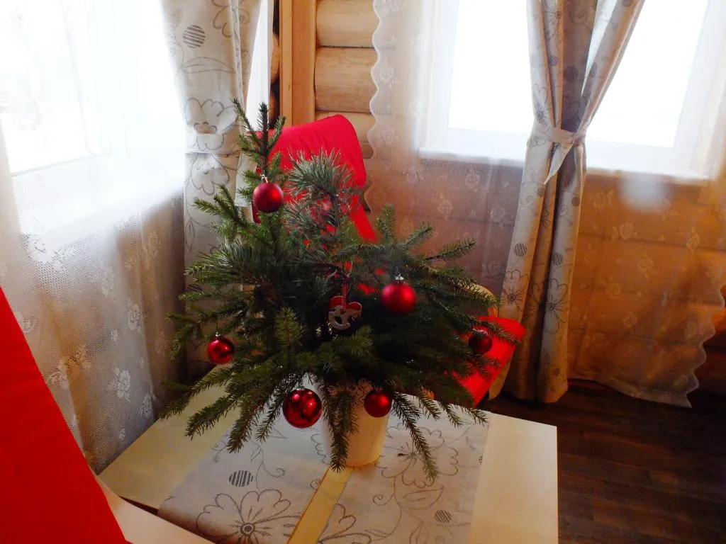 Коттедж Коттедж на берегу озера,рыбалка и отдых всей семьей! — Родионово