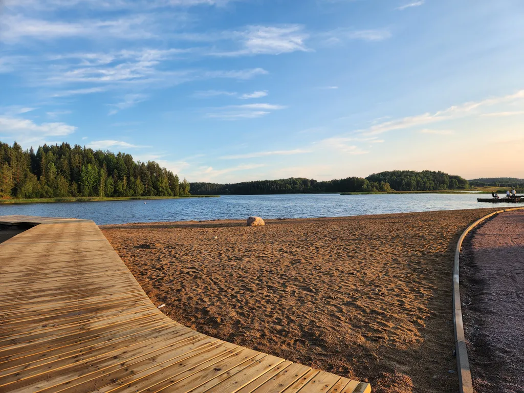 Дом с березками