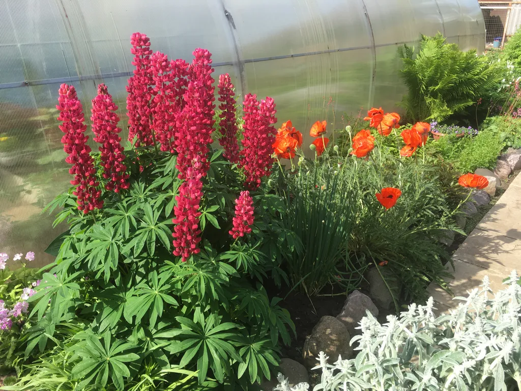 Домик с Сауной 2