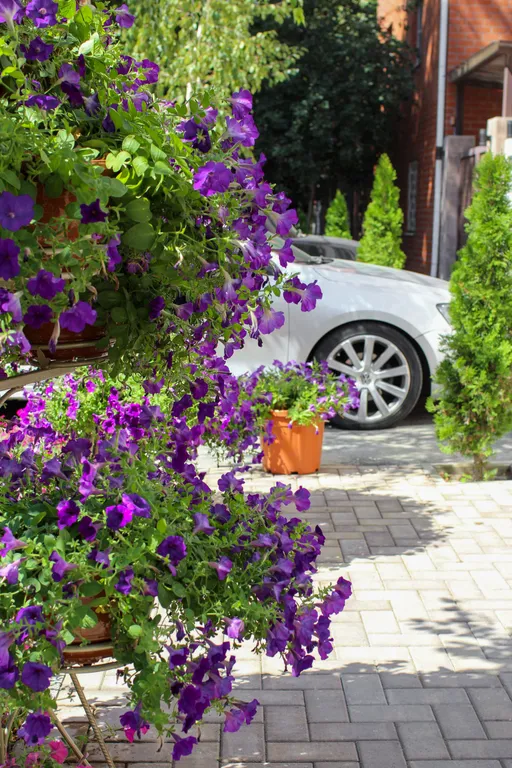 Квартира Уютная комната в частном секторе — Анапа