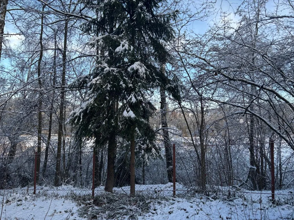 Домик для отдыха в лесу