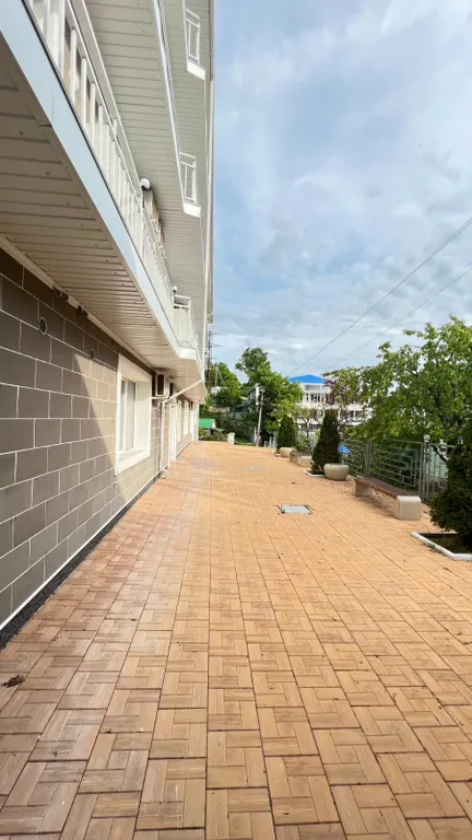 Зеленая студия на море