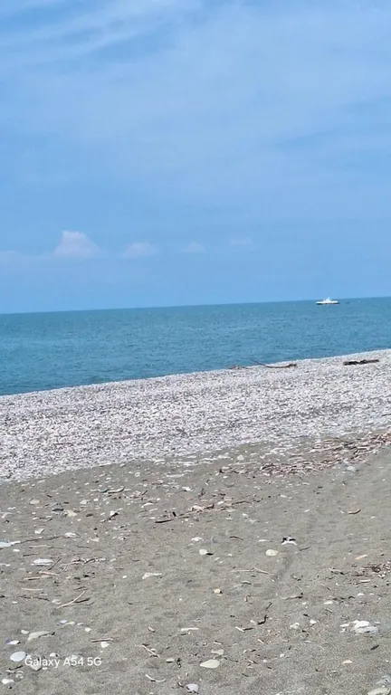 Тихий уголок