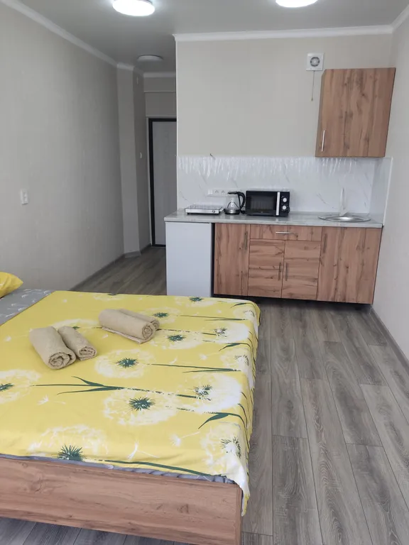 Светлая студия-1, расположенная вблизи аэропорта и ЖД вокзала