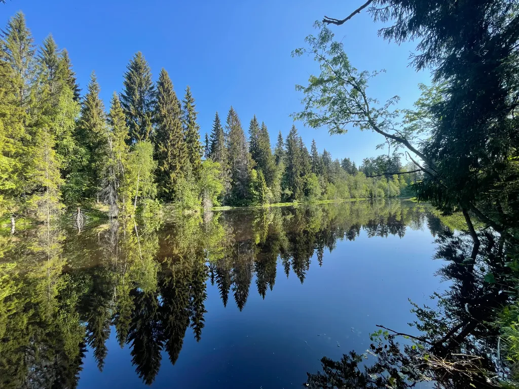Домик для семейного отдыха в лесу
