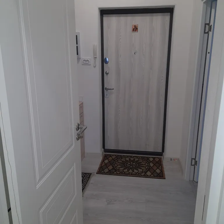 Квартира 1-комнатная Квартира — Колпино