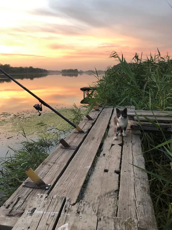 Домик в деревне